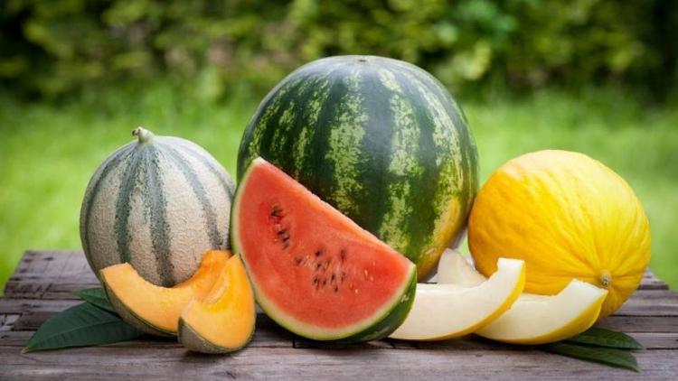 Karpuz ve kavun gerçekten formda kalmaya yardımcı mı?