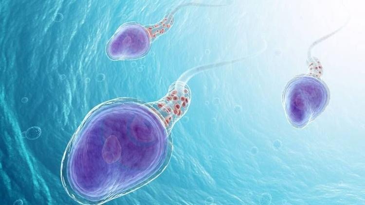 Sperm alerjisi de olur mu demeyin!