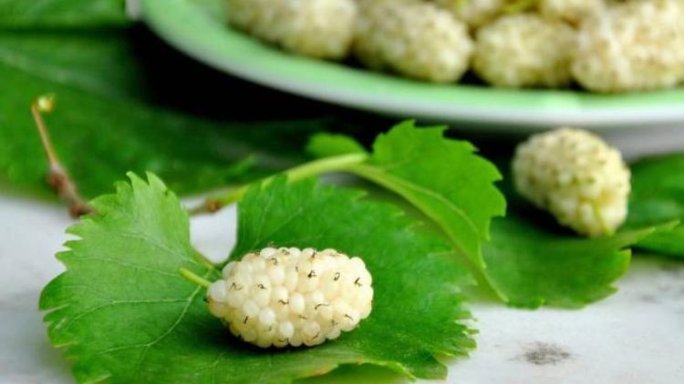 Halsizliğe karşı dut tüketin