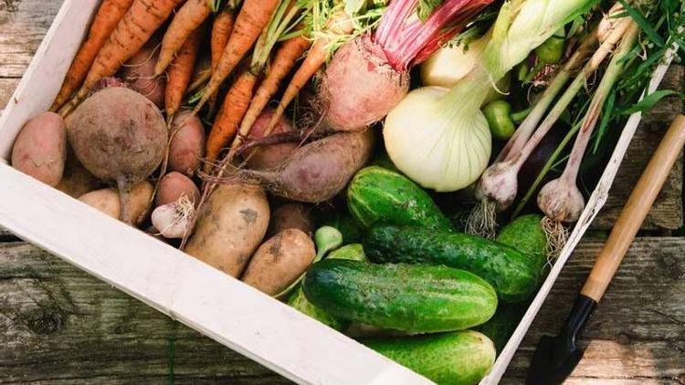 Raw Food (Çiğ beslenme) nedir?