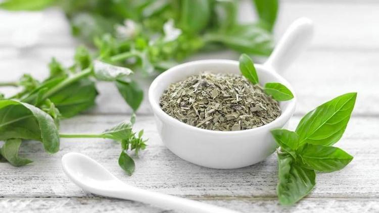 Mucizevi bitki reyhanın sağlığımıza 10 faydası