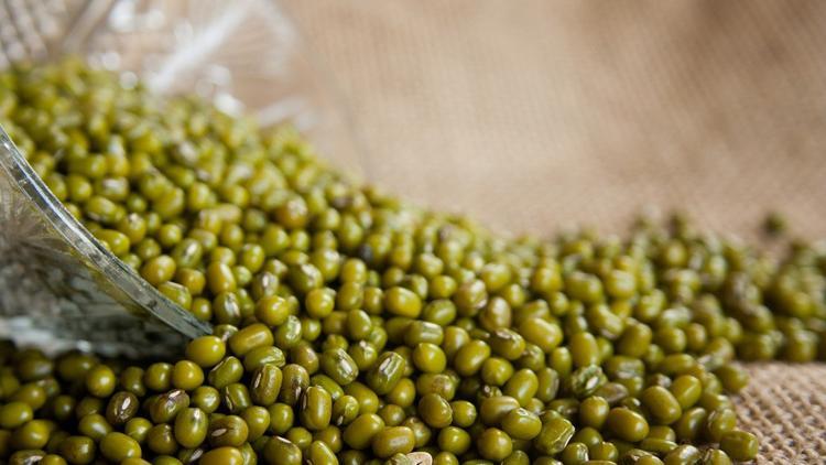 Protein zengini tahıllar