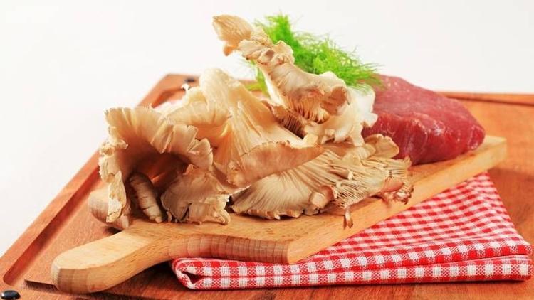 İstiridye mantarı doğal antibiyotik etkisi gösteriyor