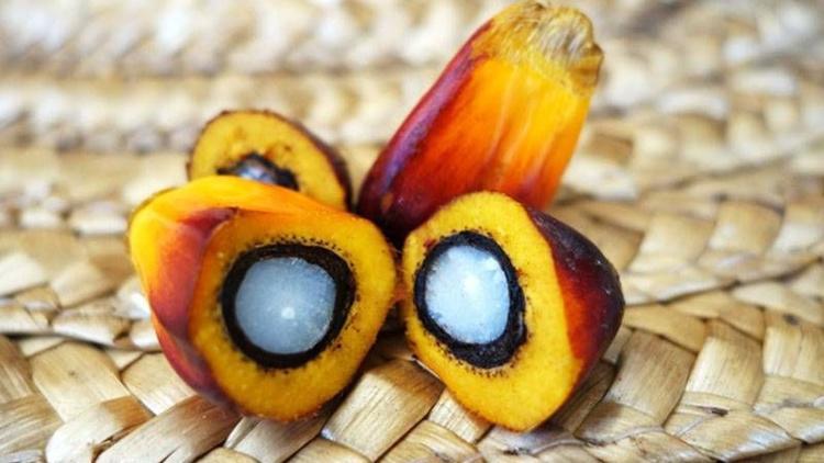 Palm yağı gerçekten zararlı mı?