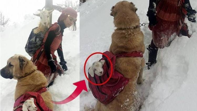 Sosyal medyada en çok paylaşılan fotoğrafın sırrı!