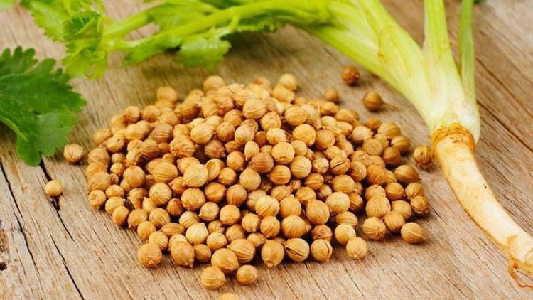 Kişniş nedir? Kişnişin faydaları nelerdir?