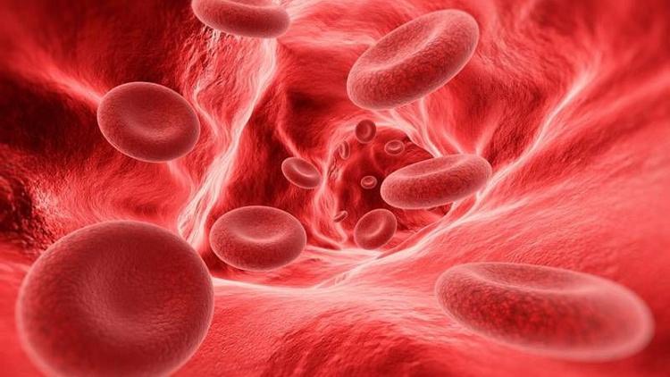HGB (Hemoglobin) nedir? HGB yüksekliği, düşüklüğü