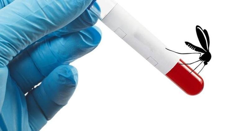 Zika tehdidi hızla yayılıyor