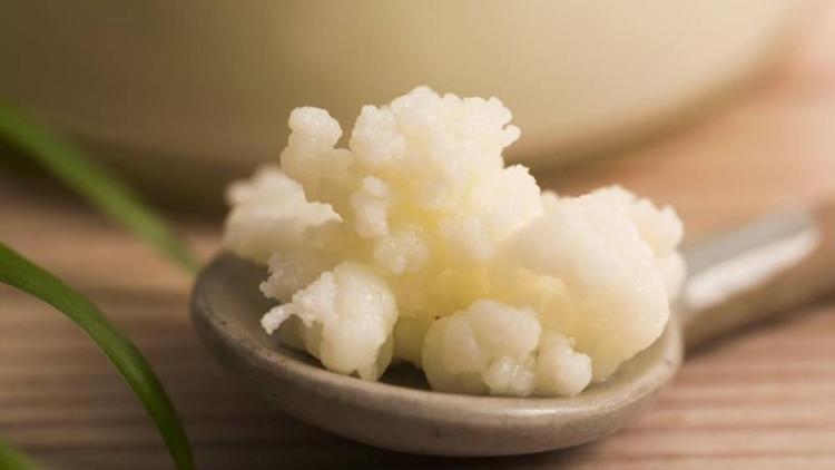 Uzun yaşamın sırrı kefir ve yoğurtta saklı
