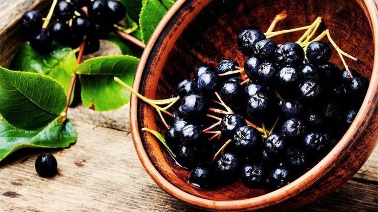 Aronia meyvesinin faydaları nelerdir?