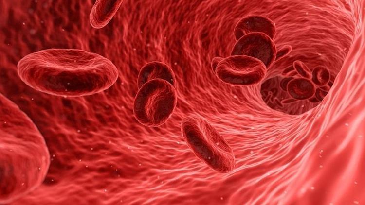 Talasemi nedir, belirtileri nelerdir?