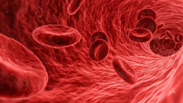 Hemofili nedir? Hemofili hastalığının belirtileri ve tedavisi