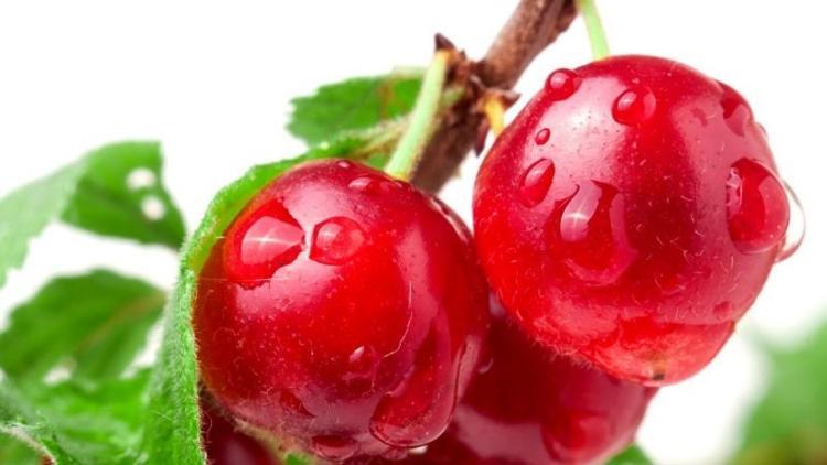 Vişne sapı yağları yakmaya yardımcı olur mu?