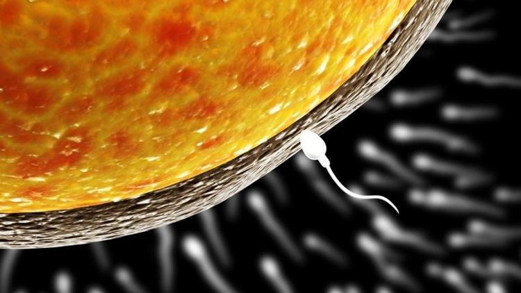 Sperm bozukluklarının tedavisinde önce doğru tanı konulmalı