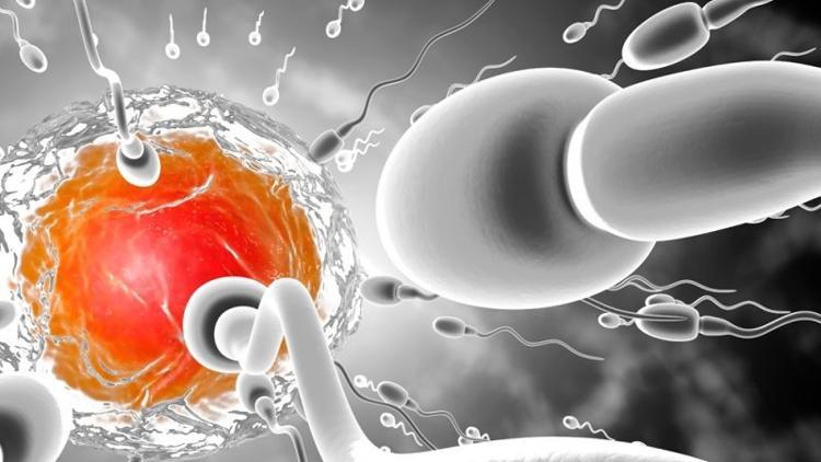 Çocuk sahibi olamamanın nedeni pili tükenmiş spermler olabilir