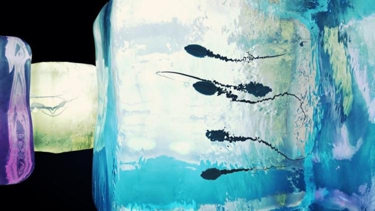 Erkekler arasında sperm dondurma trendi popüler hale geliyor