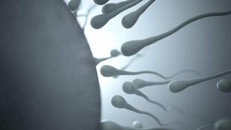 Tekrarlayan düşüklerin nedeni hasarlı spermler olabilir mi?