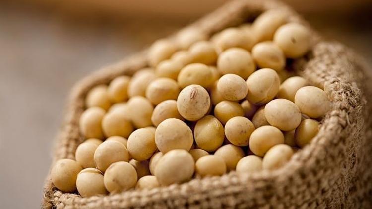 Menopozun etkisinden soya fasulyesiyle korunun