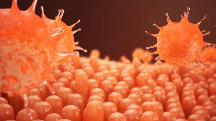 Hepatit B çocukluk çağında daha fazla kronikleşebiliyor