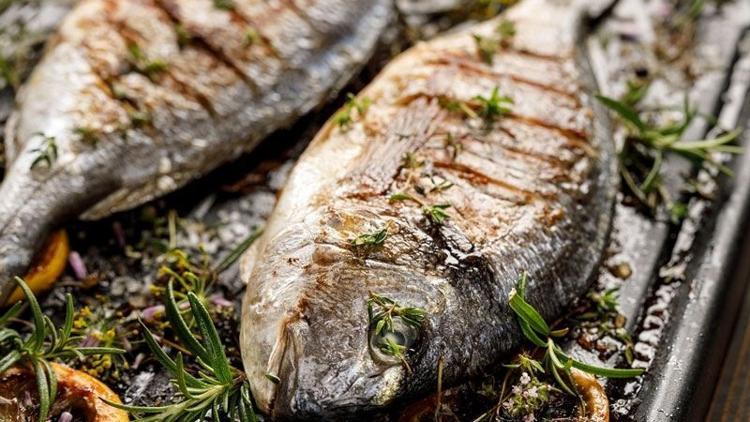 Çiftlik balığının faydaları bilimsel çalışmalarla ortaya kondu