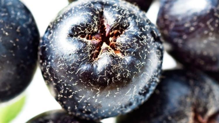 Aronya meyvesi nedir? Sağlığa faydaları nelerdir?