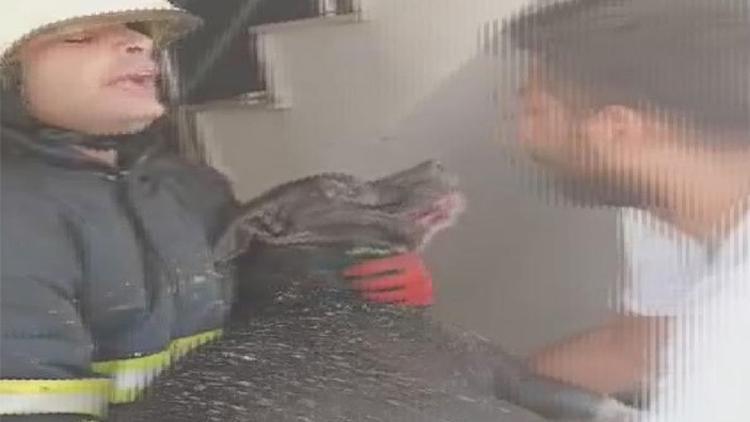 Yangında mahsur kalan Paşa'yı, itfaiye kurtardı