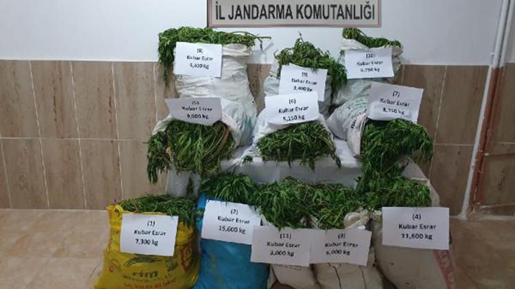 Tarlalara kenevir eken şüpheli, fotokapan sayesinde yakalandı