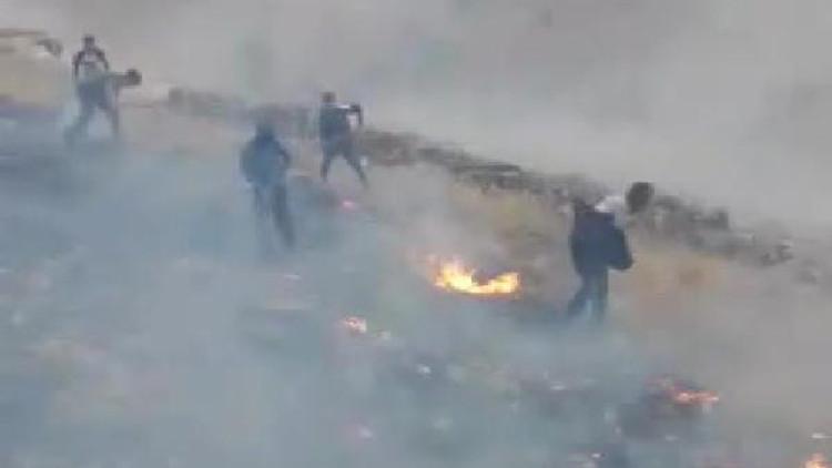 Gercüş'te yıldırım yangına neden oldu; 2 hektarlık alan zarar gördü