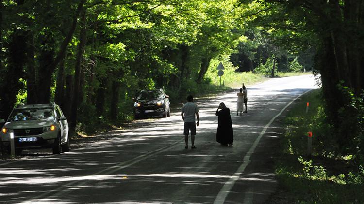 Ağaçların tünel oluşturduğu yol görsel şölen sunuyor