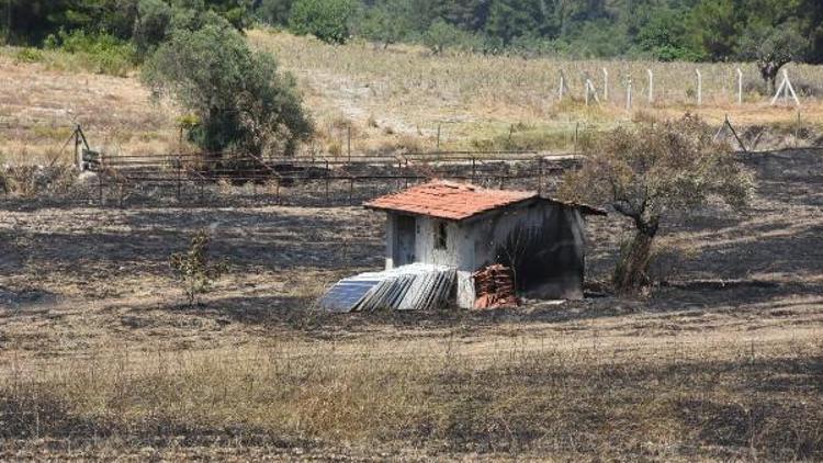 Urla'da yanan ormanlık alanla ilgili 1 gözaltı
