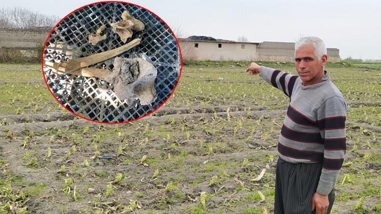 18 yıllık gizem! Çiftlik evinde kemik parçaları bulundu