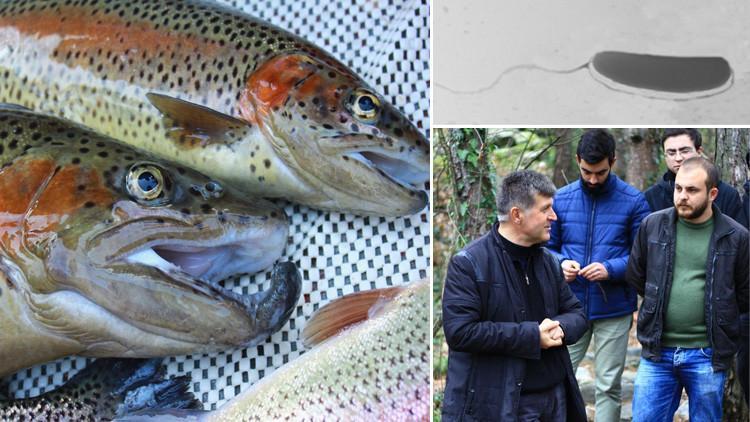 Bursa'dan önemli haber! Yeni bir bakteri türü keşfettiler...