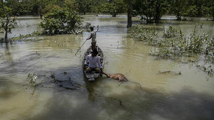 Güney Asyada sel felaketinin bilançosu yükseliyor