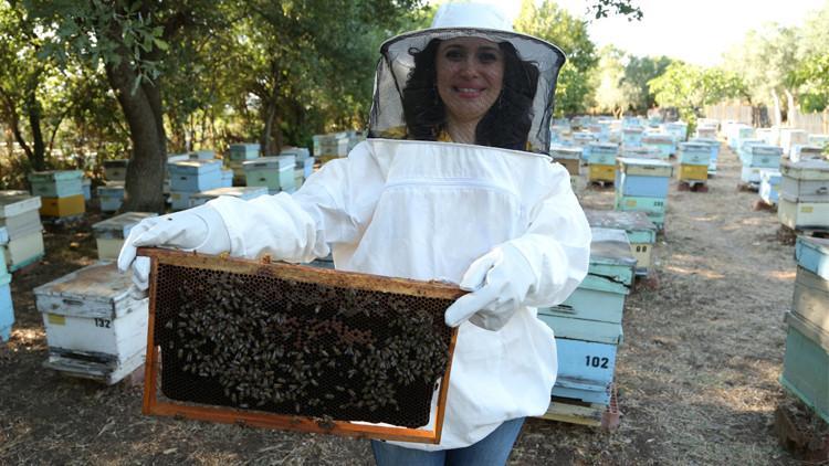 Sıfır kalori: Propolis