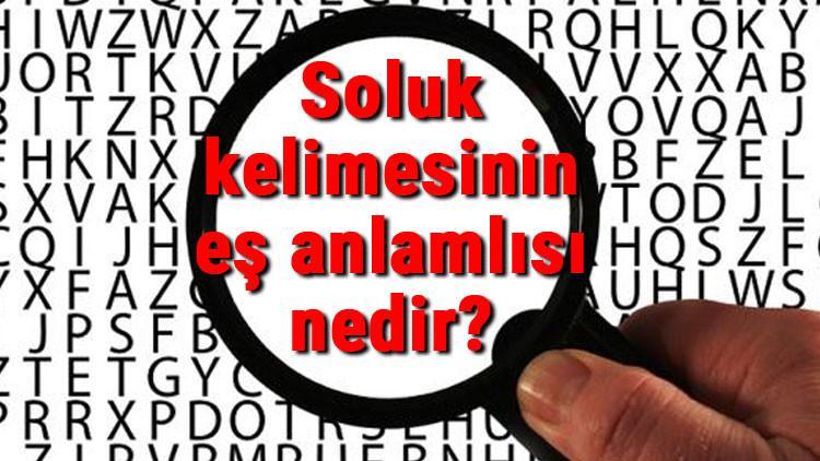 Soluk kelimesinin eş anlamlısı nedir?