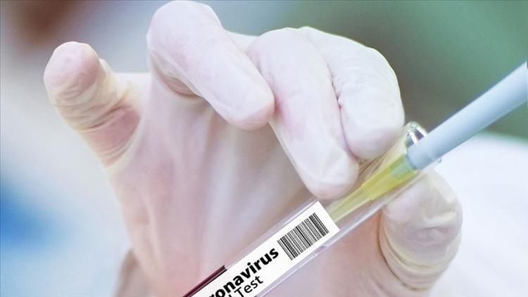 Dijital tıp, gelecekteki salgınları önlemede yardımcı olabilir mi?