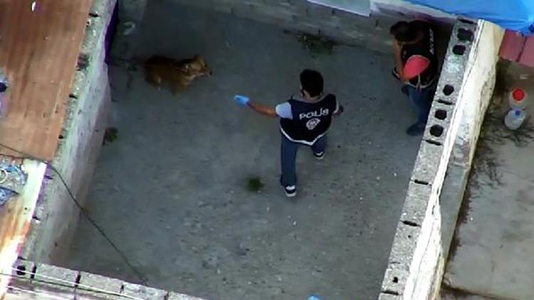 Suç örgütü operasyonunda polise köpek saldırdı