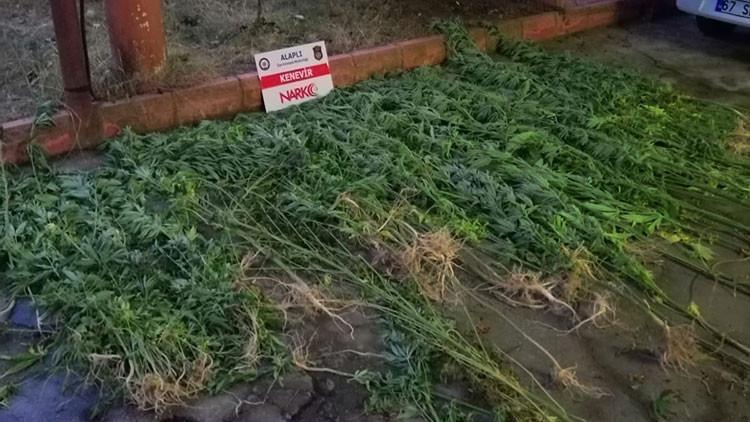 Zonguldak'ta uyuşturucu operasyonunda 2 kişi tutuklandı