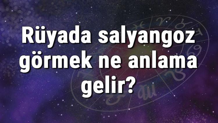 Rüyada salyangoz görmek ne anlama gelir? Rüyada salyangoz toplamak, yemek ve öldürmek tabiri
