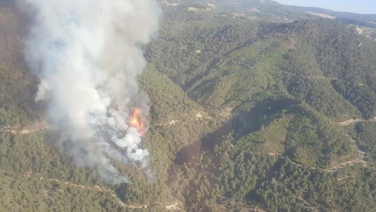 Son dakika haberi: Manisa'da orman yangını çıktı