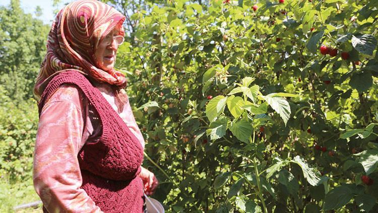 Yetiştirdiği çilekleri pazarda satıp ev aldı, çocuklara bağışladı; çok yaşa Çilek Anne!