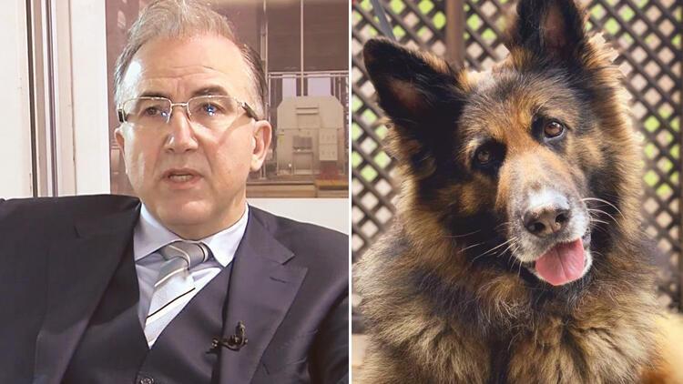 Alp Erkin kimdir? Daha önce bir köpeği daha öldürmüş!