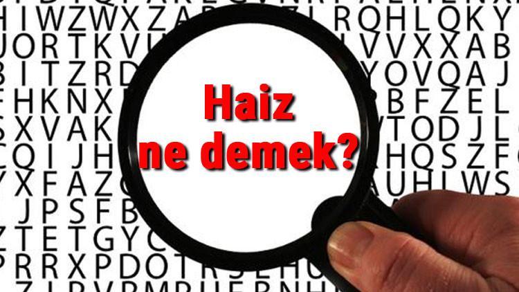Haiz ne demek? Haiz nedir? Haiz TDK kelime anlamı