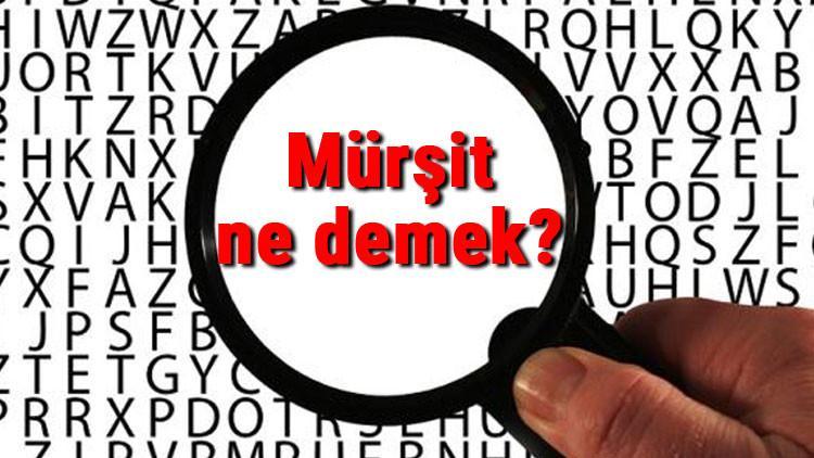 Mürşit ne demek? Mürşit nedir? Mürşit TDK kelime anlamı