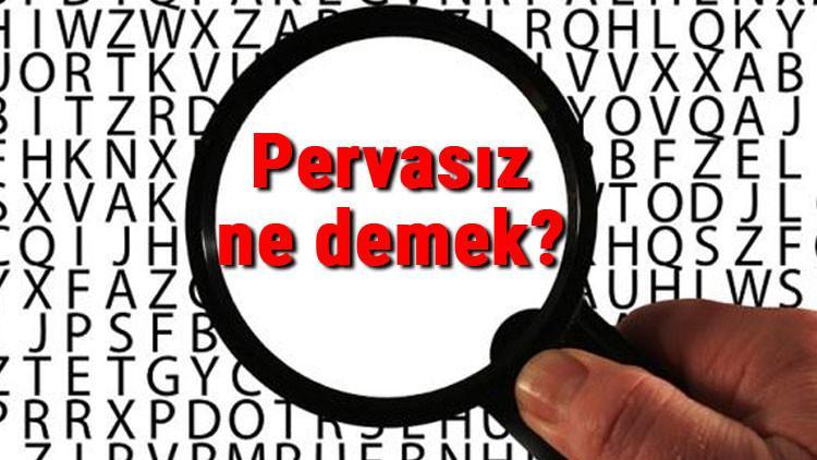 Pervasız ne demek? Pervasız nedir? Pervasız TDK kelime anlamı