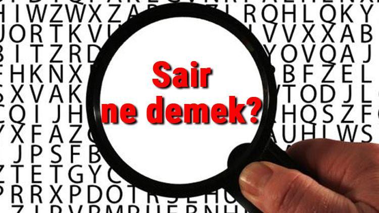 Sair ne demek? Sair nedir? Sair TDK kelime anlamı