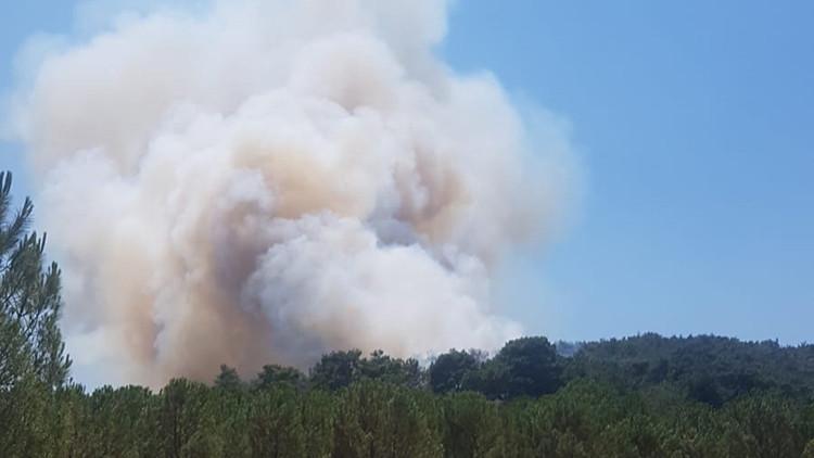 Son dakika... İzmir'in Menderes ilçesinde orman yangını