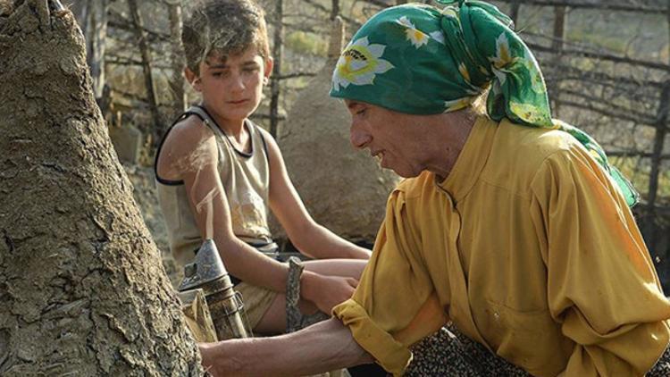 Oscar adayı 'Honeyland' yarın ekrana gelecek