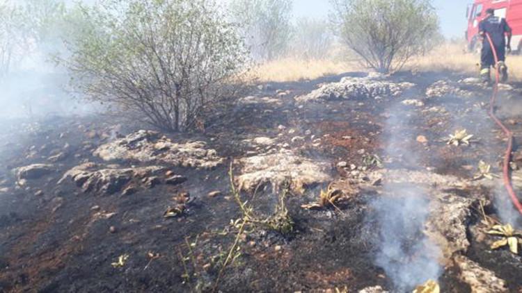 Adıyaman'da ormanlık alandaki yangında badem ağaçları zarar gördü