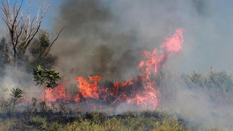 Burdur Gölü kıyısındaki sazlık alanda yangın  